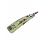 HRS 100 Up Kashmir Willow Cricket Bat